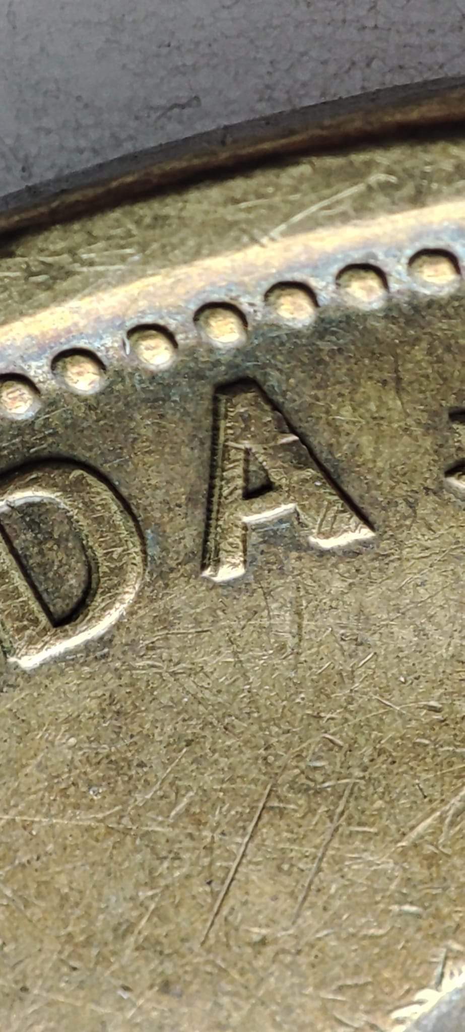 1-Dollar-2012---Grey-Cup---Canada---DDO